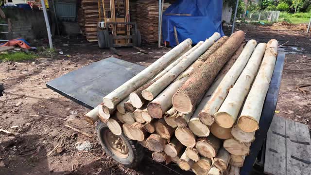 Stacked Peeled Logs On Trailer