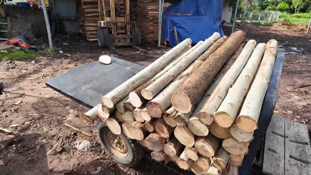 Loaded Log Trailer At Mill
