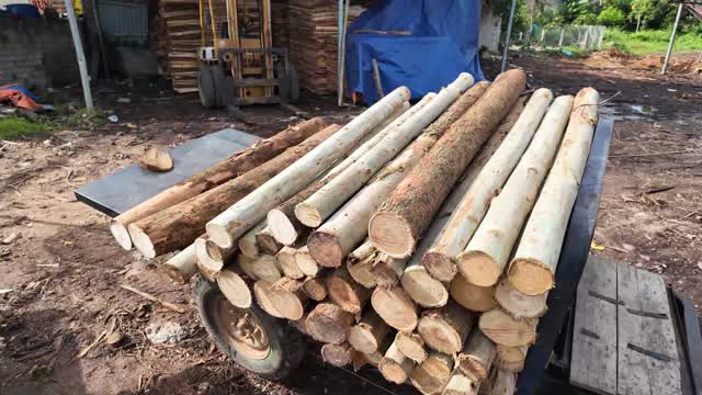 Peeled Log Ends On Cart
