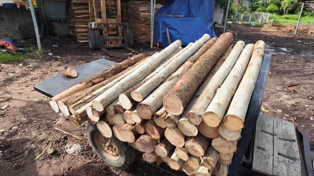 Pile Of Debarked Logs
