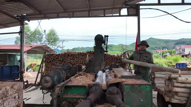 Worker Operating Log Debarking Machine