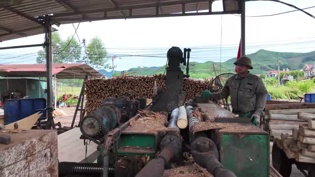 Timber Debarking Machine In Operation