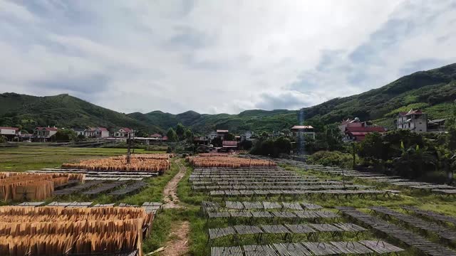 Drying Yard Below Green Hills