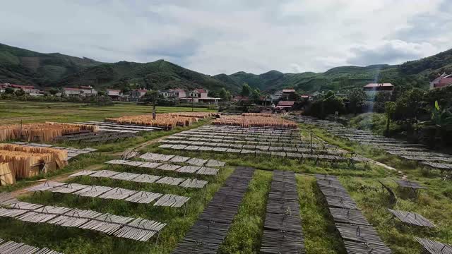 Panorama Of Drying Racks