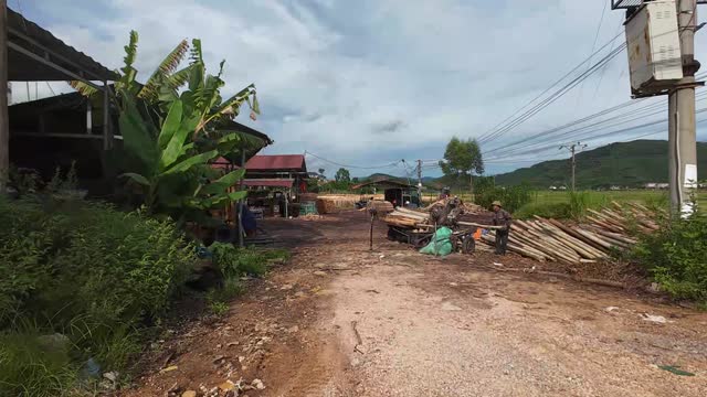Workers At Rural Sawmill Yard