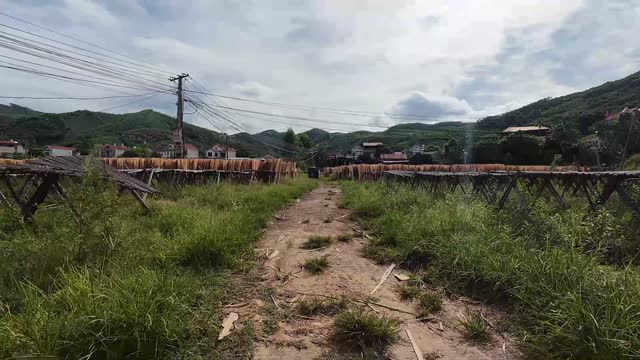 Wood Veneer Drying Yard Path