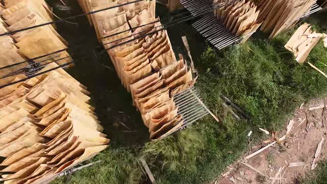 Stacked Veneer Drying Racks