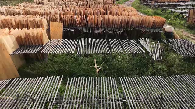 Veneer Drying Racks Overview