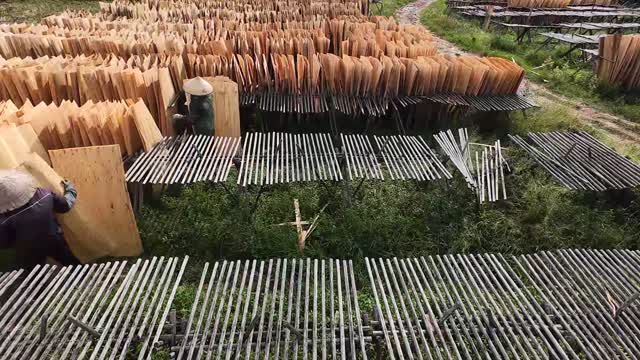 Worker Carries Veneer Sheet