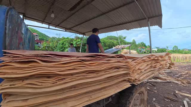 Stacked Wood Veneer Sheets Loading