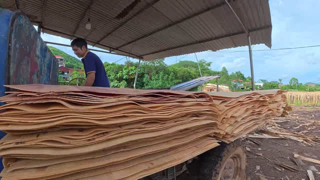 Loading Peeled Veneer Onto Truck