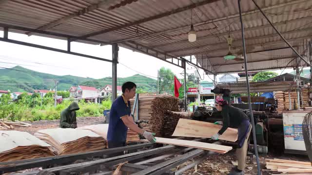 Workers Handling Plywood Boards