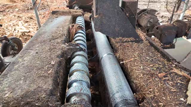 Spiked Rollers Of Timber Machine