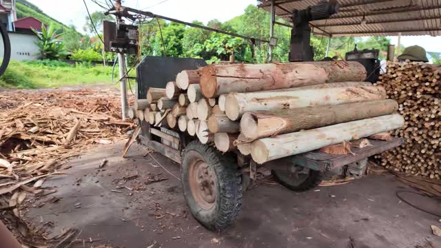 Cart Loaded With Cut Logs