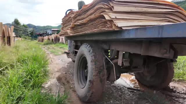 Cart Hauling Veneer On Dirt Road