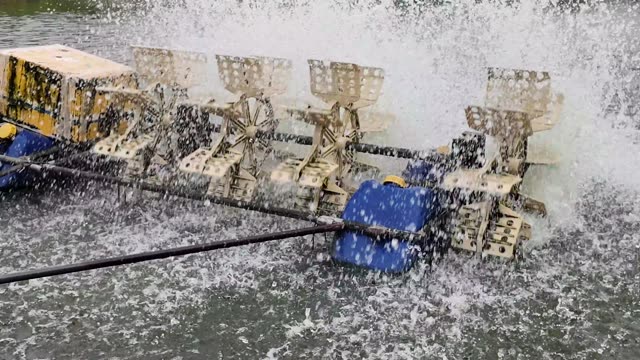 Boat Full Of Fresh Fish
