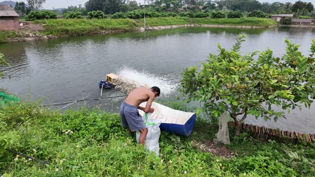 Harvested Freshwater Fish