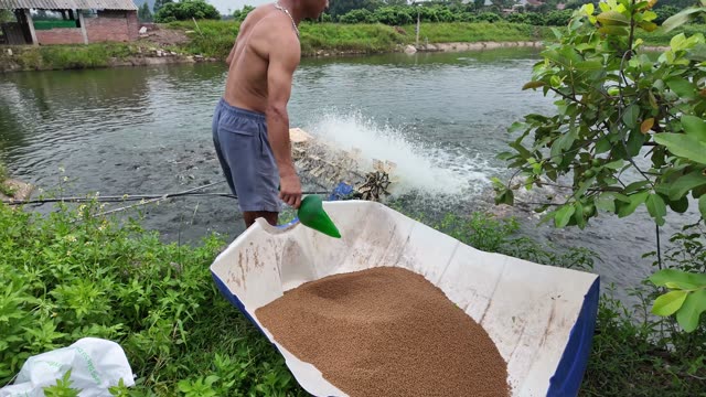 Paddlewheel Aerator On Fish Pond