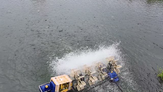 Harvested Freshwater Fish