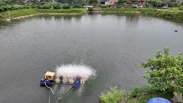 Boat Full Of Fresh Fish