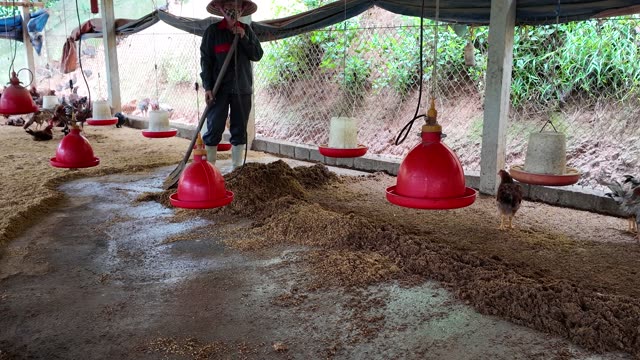 Chicken Farm Feed Storage