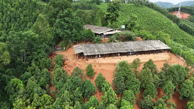 Hillside Chicken Farm — Shot 1