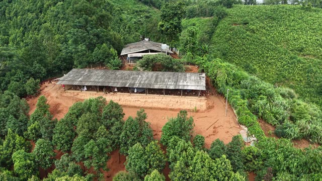 Hillside Chicken Farm — Shot 3