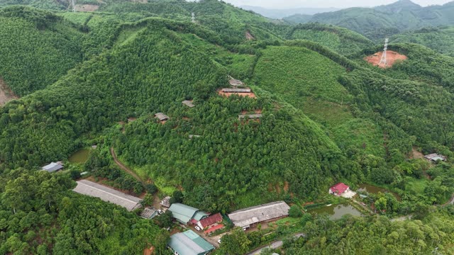 Chicken Farm Among Orchards — Shot 3