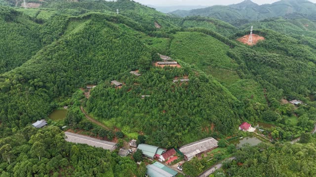 Chicken Farm Among Orchards — Shot 4