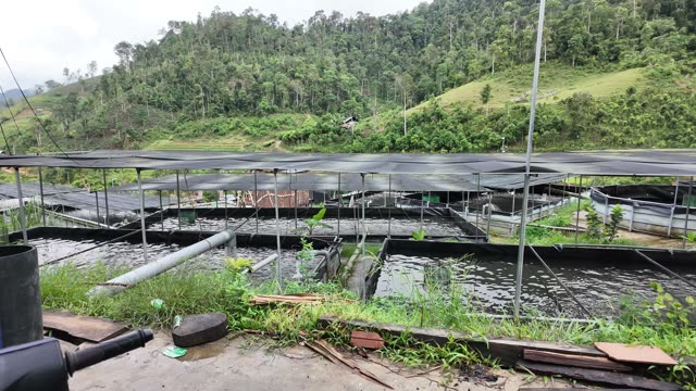 Sturgeon Fish Farm On Hillside