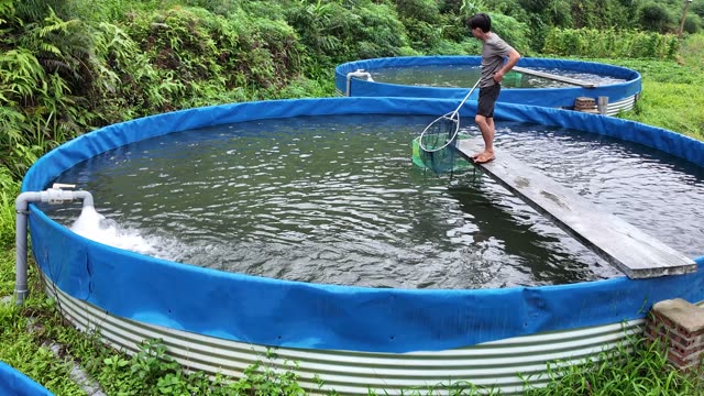 Preparing Fish Feed