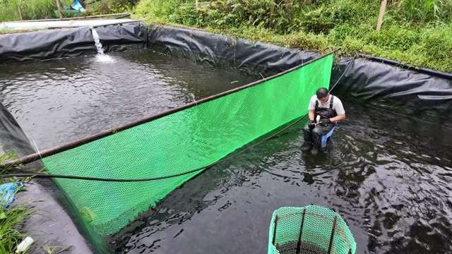Sturgeon Fish Farm On Hillside