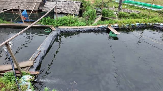 Fish Farm Feed Shed