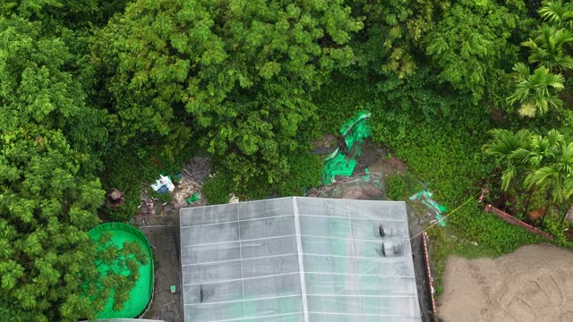 Thousands Of Frogs In A Tank — Shot 2