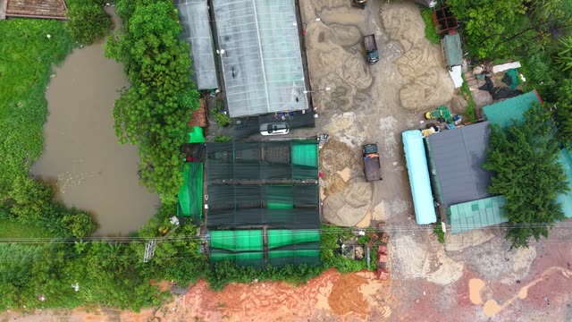 Frogs In Farm Water Tank — Shot 3