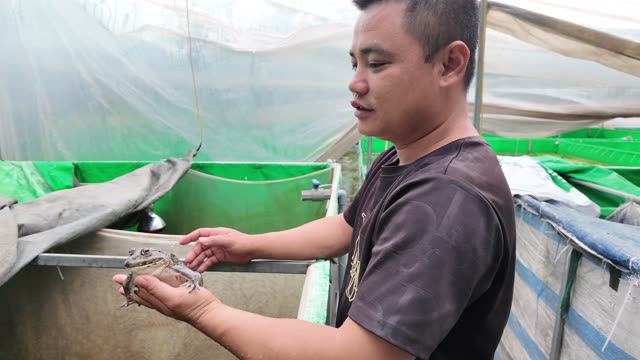 Frogs On Net Rafts