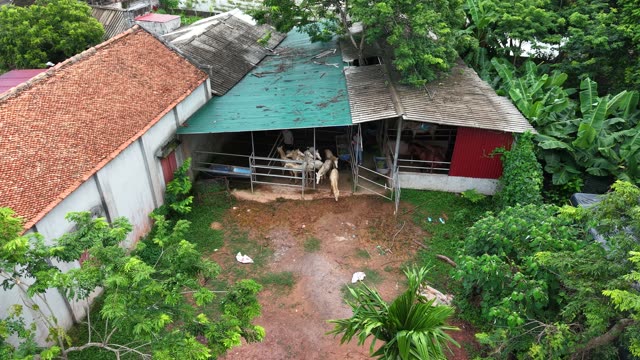 Farm Stable With Animals