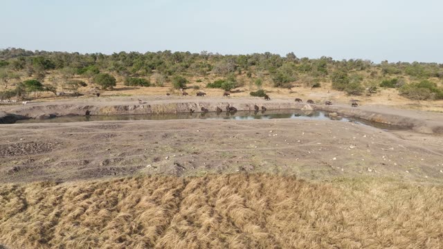 Aerial View Of Mburo Waterhole
