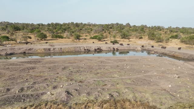 Aerial View Of Mburo Waterhole