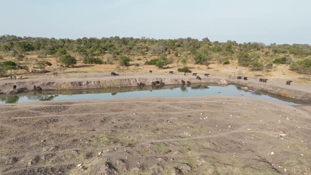 Aerial View Of Mburo Waterhole