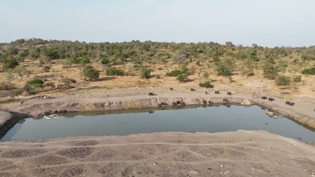 Aerial View Of Mburo Waterhole