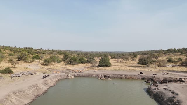 Aerial View Of Mburo Waterhole