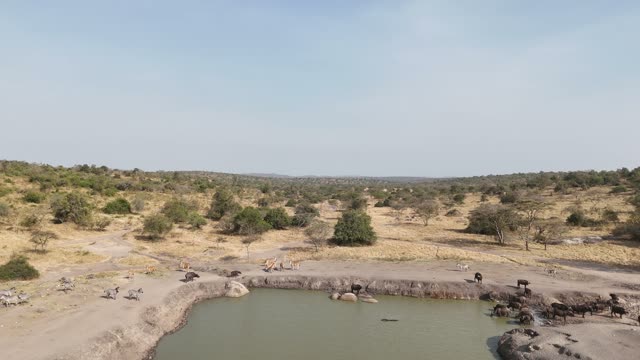 Aerial View Of Mburo Waterhole