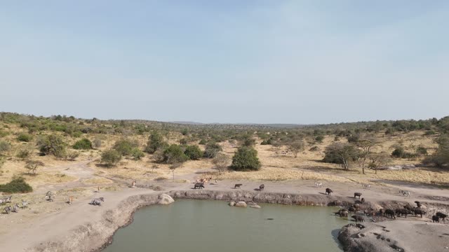 Aerial View Of Mburo Waterhole