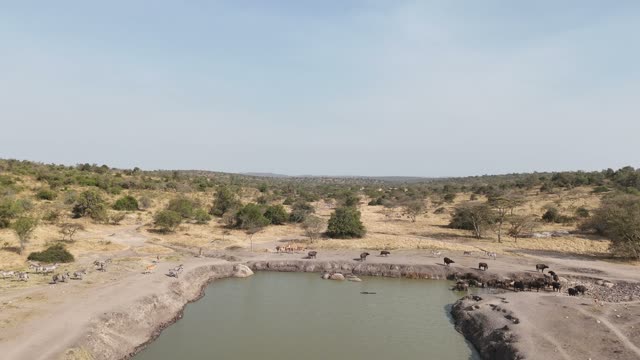 Aerial View Of Mburo Waterhole