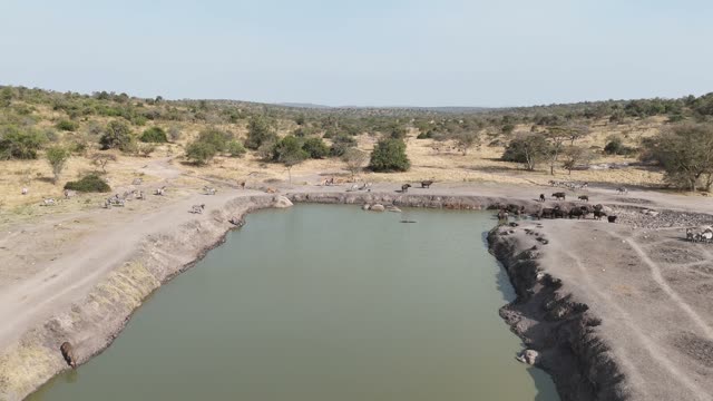 Aerial View Of Mburo Waterhole