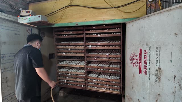 Duck Egg Incubation Room