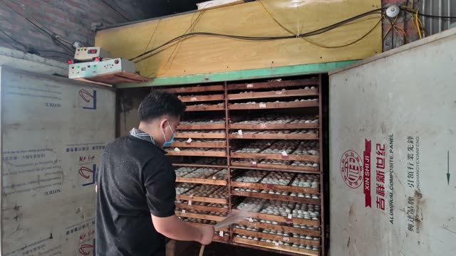 Duck Egg Incubation Room