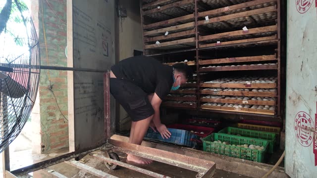 Duck Egg Incubation Room