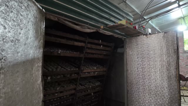 Duck Egg Incubation Room